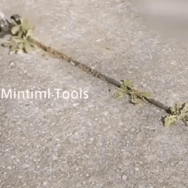 Désherbeur 2 en 1 à Roulettes - Sans Effort