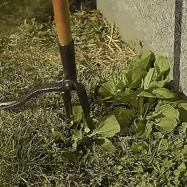 Desherbeur à mauvaise herbes avec pedalier