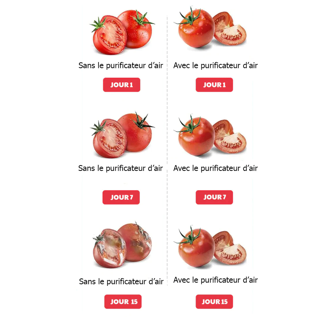 Purificateur portable d'air pour frigo - Stockmania