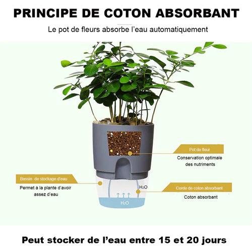 2 Pots de fleurs design - Avec système d'auto-irrigation - Stockmania