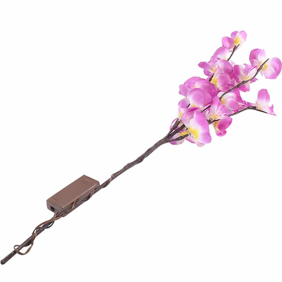 Bouquet d'Orchidées Lumineux