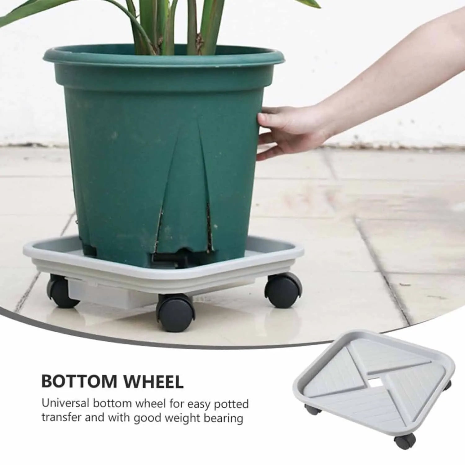 Support à Roulettes pour Plantes avec Bac de Drainage