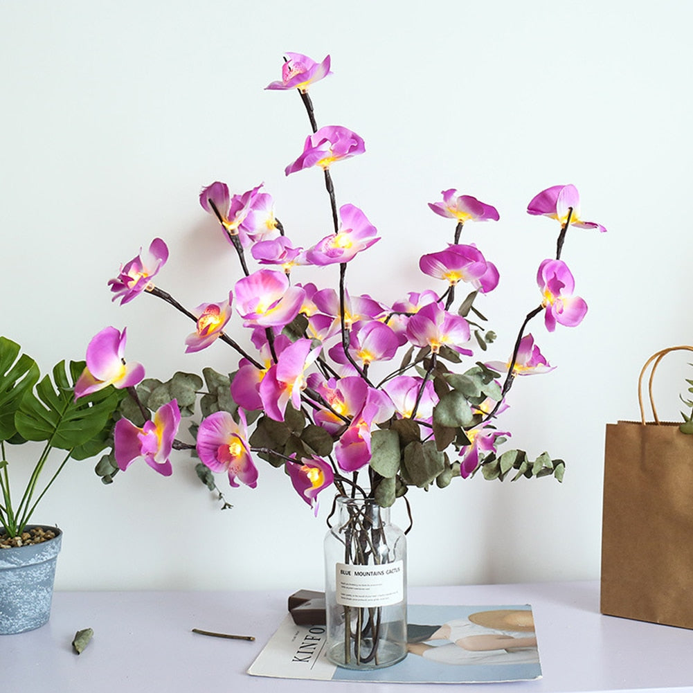 Bouquet d'Orchidées Lumineux