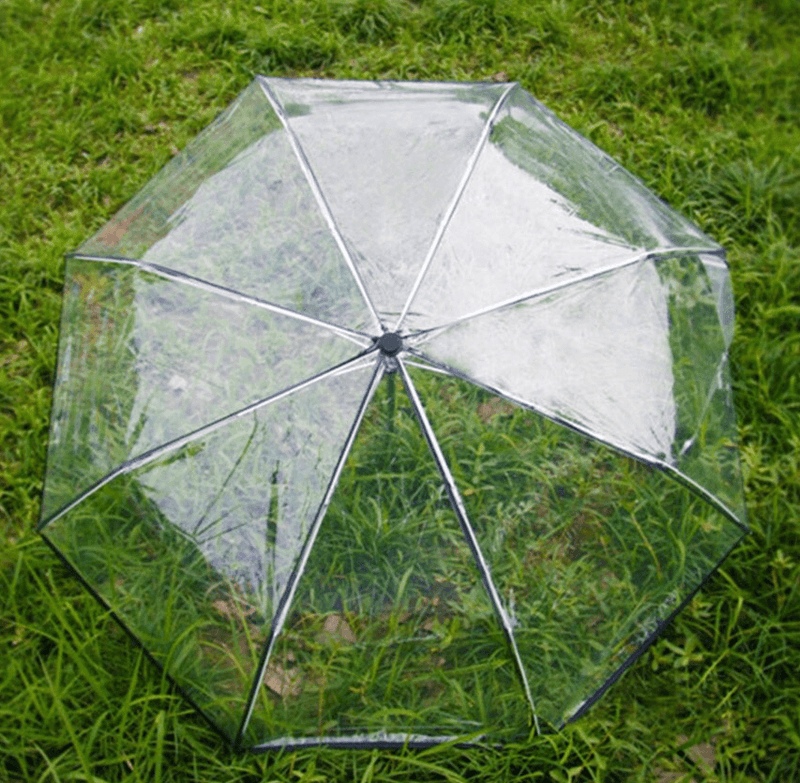 Parapluie de poche transparent